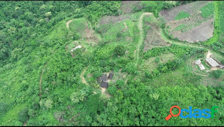 Terreno en venta Canoabo Bejuma en bosque virgen