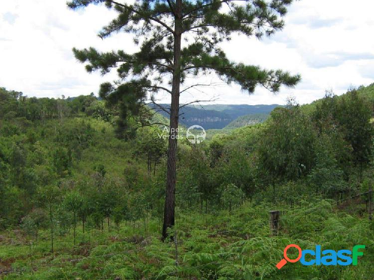 Terreno à venda, 60000 m² por R$ 1.100.000,00 - Caracol -