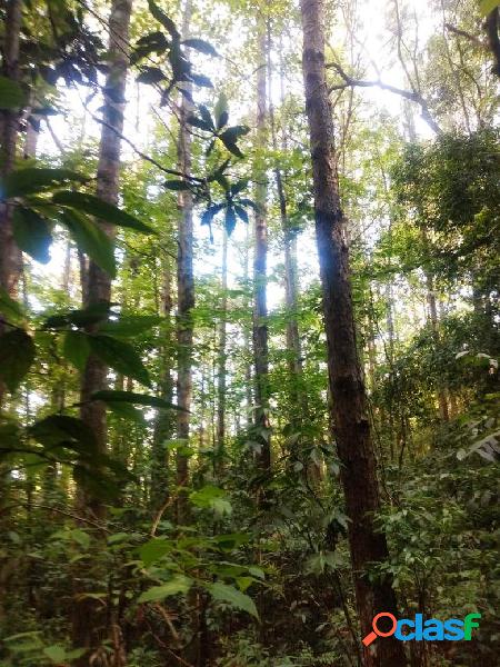 Terreno à venda por R$ 600.000 - Canela/RS