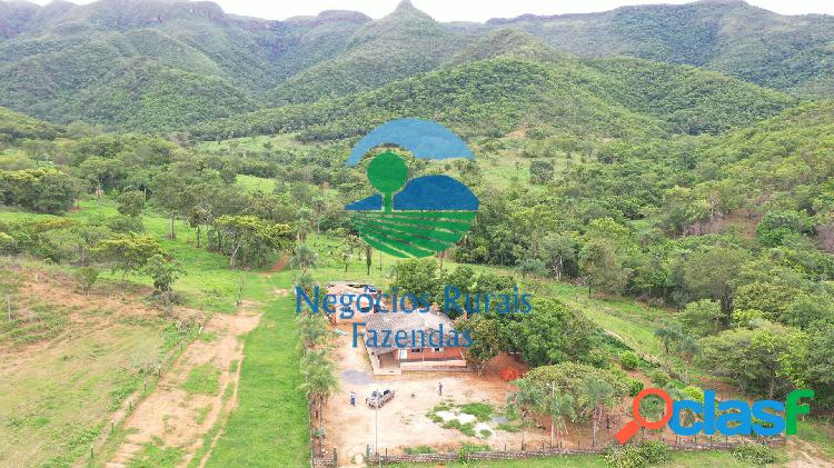 Fazenda 312 alqueires ou 1.510 Hectares em São João da