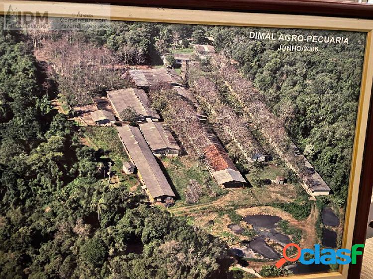 Fazenda Agropecuária com 19 ha em Picada Café - RS