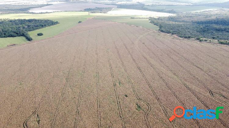 Fazenda de Oportunidade ! 1470 Hectares ! Região de