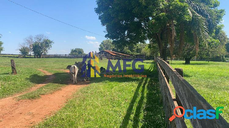 Fazenda Santo Antônio do Araranguá à Venda