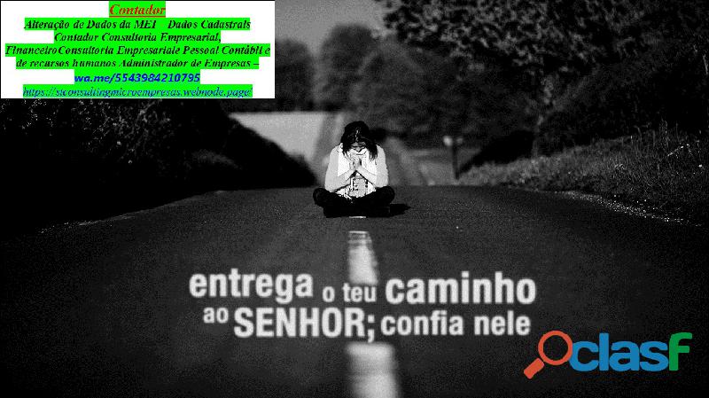 São Paulo###Serviços de Contador, Assessoria Empresarial