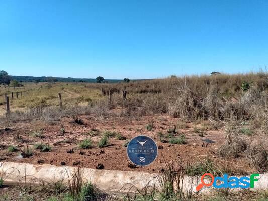 Fazenda Pontal do Araguaia - MT! 55 Alqueires!