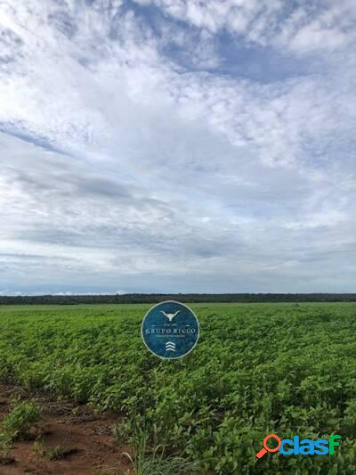 Fazenda em Canabrava do Norte- MT! 1.103 Hectares!