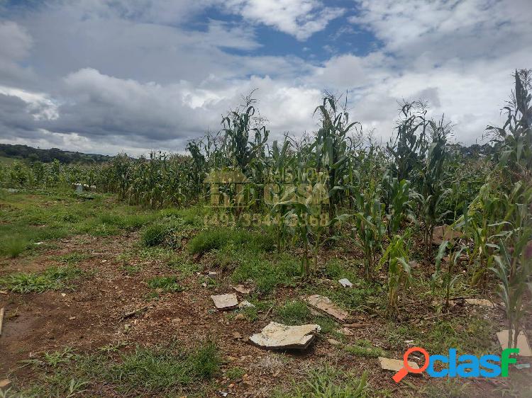 TERRENO URBANO DISPONÍVEL PARA VENDA EM MONTE CARLO - SC