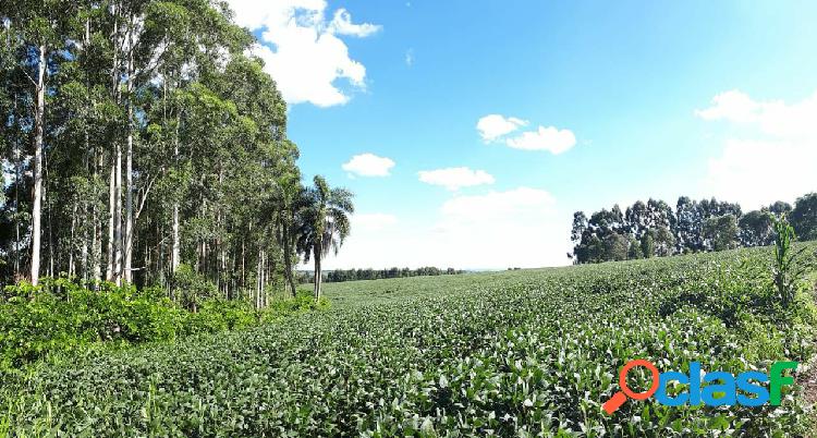 Área Rural à venda em Ponta Grossa/PR