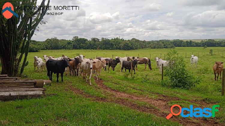 EXCELENTE AREA COM 18 ALQUERES