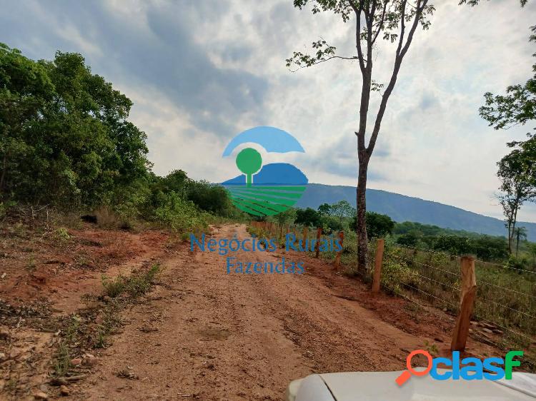 Fazenda 184 Alqueires ou 890 Hectares, Sul do Tocantins