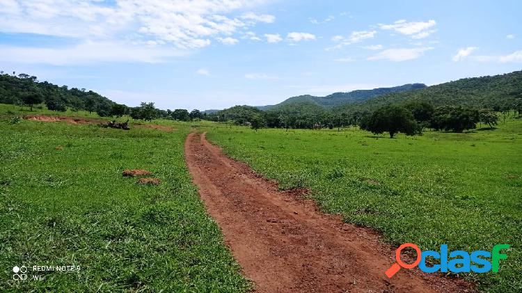 Fazenda de 80 Alqueires em Bom Jardim de Goiás ! Oferta