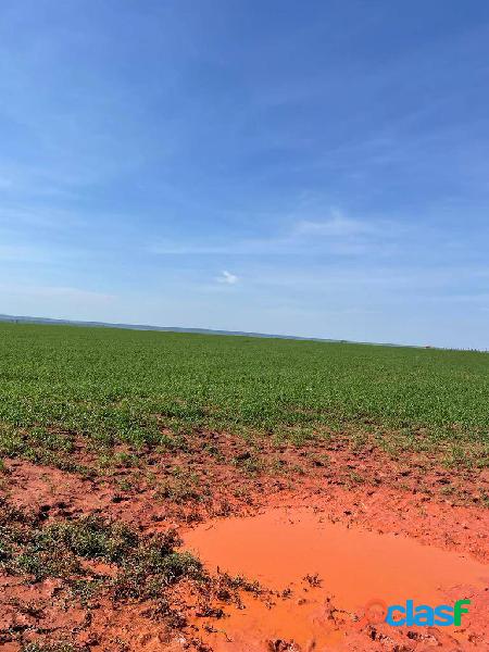 Fazenda para Arrendamento