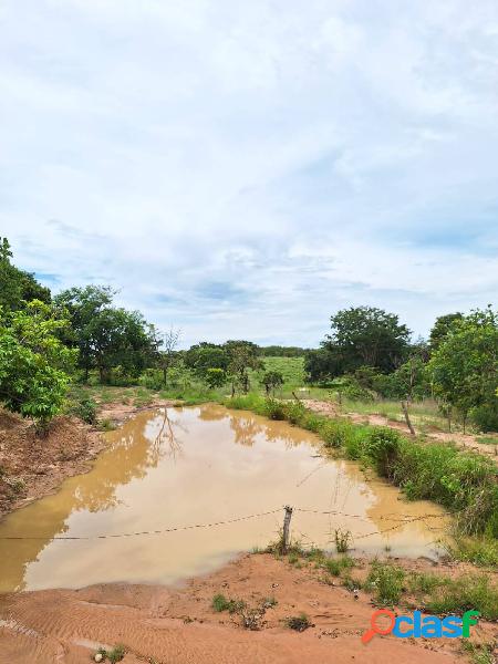 Fazenda à venda ! Região de Cachoeira de Goiás-GO ! 80