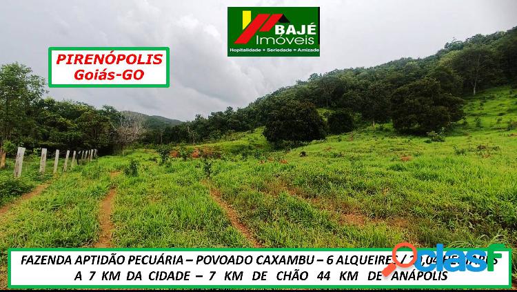 OPORTUNIDADE FAZENDA EM PIRENÓPOLIS APTIDÃO PECUÁRIA