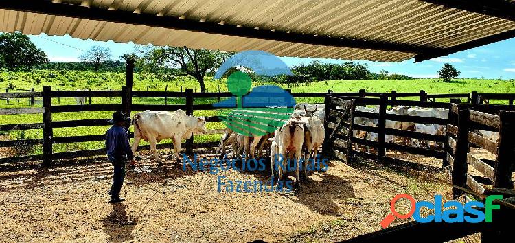 Fazenda 173 Alqueires ou 837 Hectares.