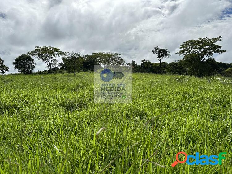 Fazenda 320 hectares Terra Preta Camapuã