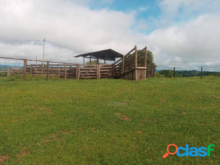 Fazenda em Morrinhos-GO ! 33 Alqueires ! Oportunidade !