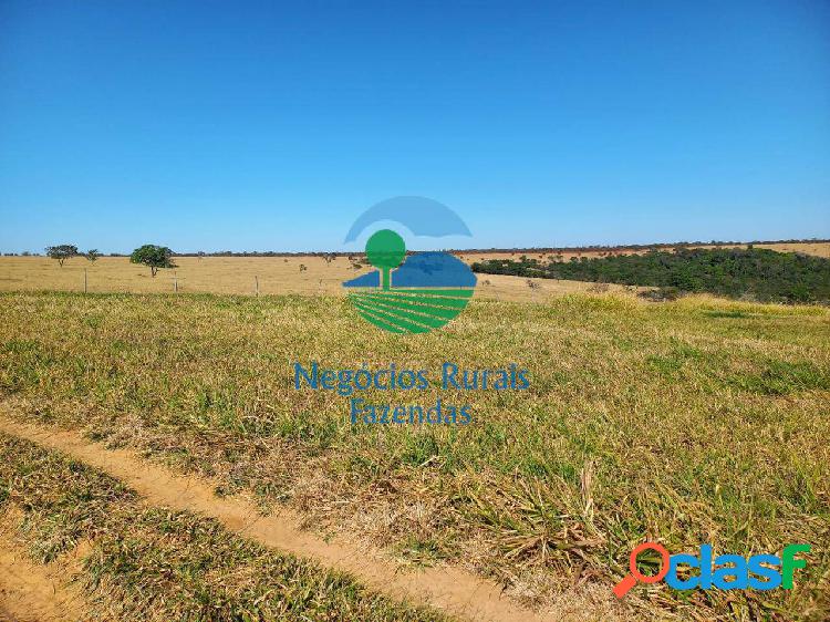 Fazenda 43 Alqueires ou 208 Hectares.