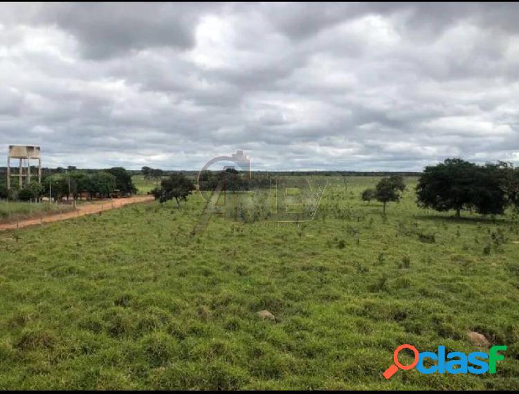 OPORTUNIDADE FAZENDA À VENDA