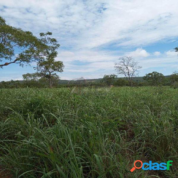 Vende-se ou troca fazenda no município de jequitai