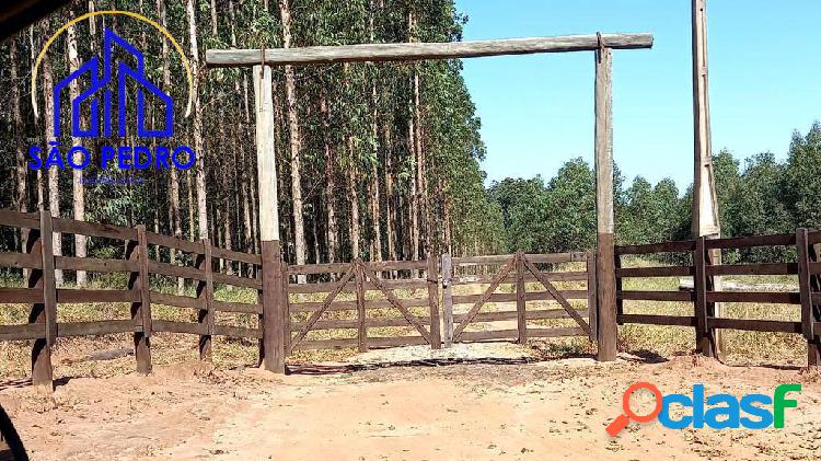 FAZENDA COM APTIDÃO PARA> plantio em eucalipto, plantio de