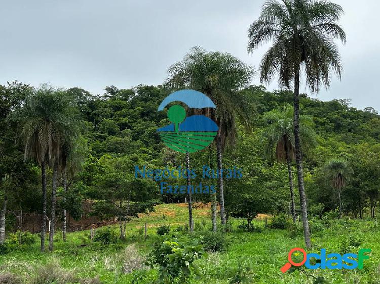 Fazenda a venda em Goiás 1.510 hectares ou 312 alqueires