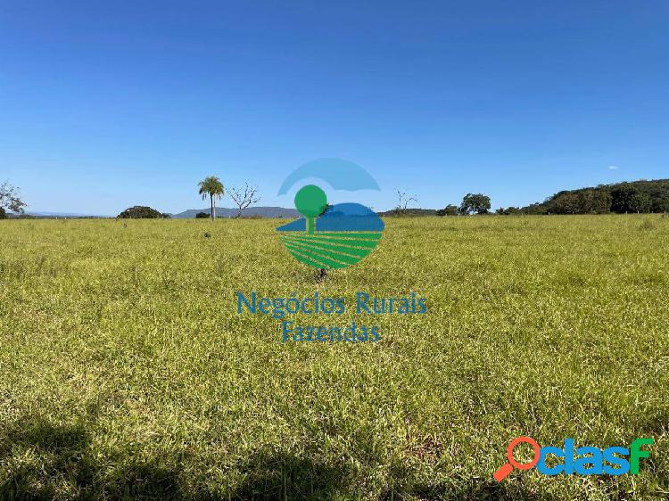 Fazenda a venda em Goiás 145 hectares ou 30 Alqueires