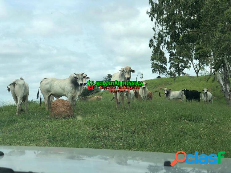 Bela Fazenda com 107 alqueires em Paraibuna