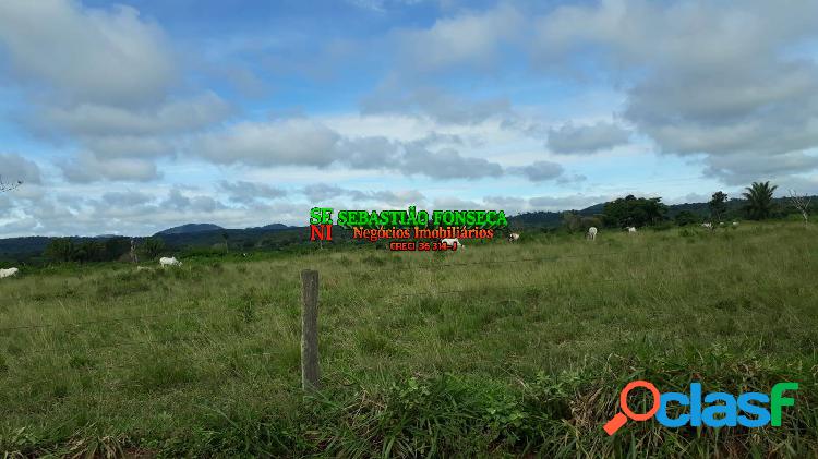 Fazenda a venda na região de Redenção do Pará