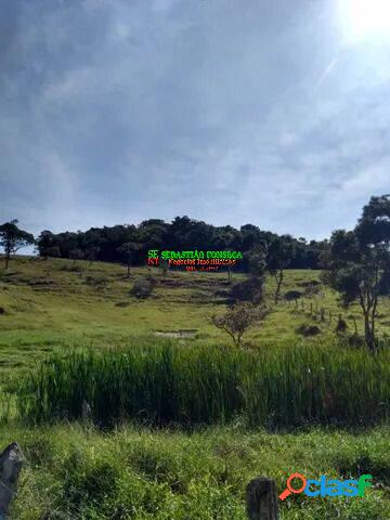Fazenda com 377 hectares em Lagoinha