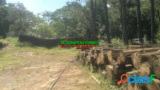 Fazenda com riacho em Monteiro Lobato