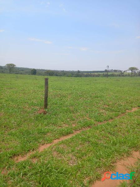 Fazenda em Guarani D'Oeste