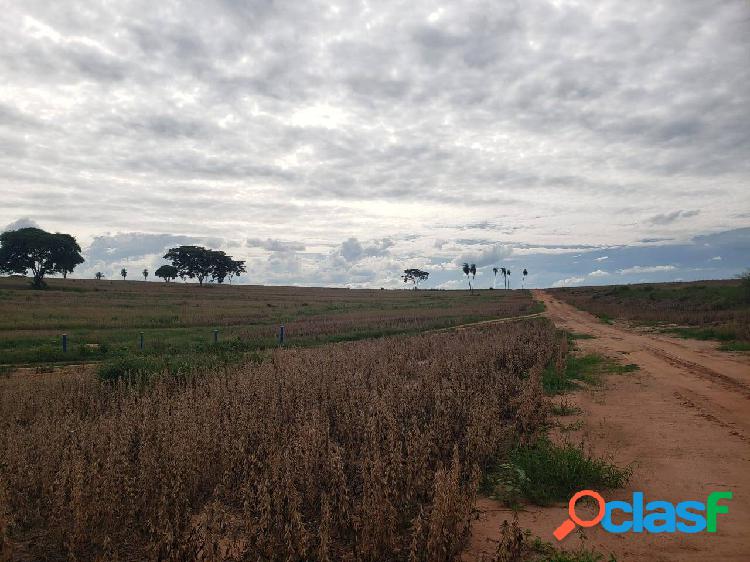 Fazenda em Zacarias SP