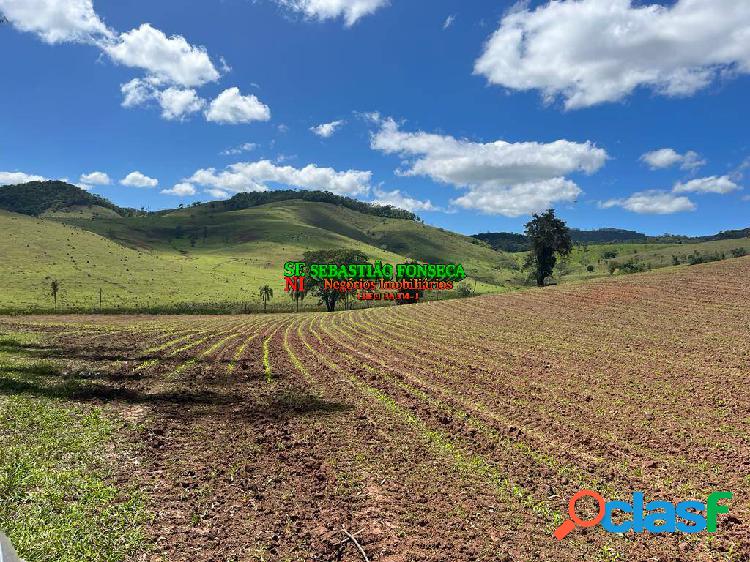 Fazenda estruturada em Santa Branca