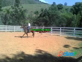 Oportunidade - vendo Haras em, São José dos Campos
