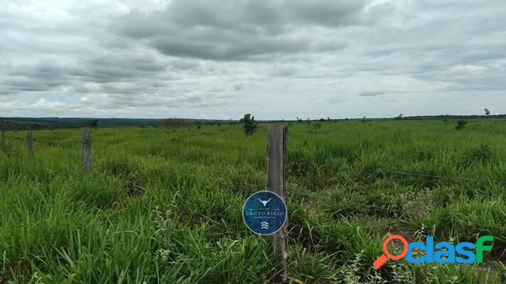 Fazenda na região de Alto Araguaia - MT! 1.530 Hectares!
