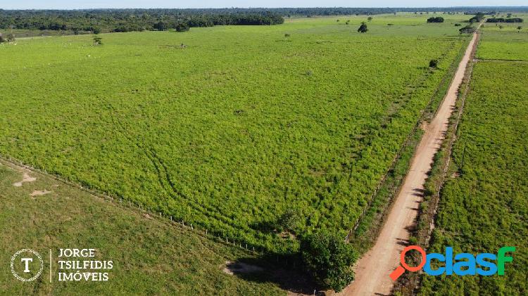 FAZENDA A VENDA EM COLÍDER - MT