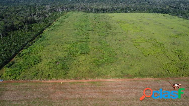 SÍTIO À VENDA, 17 HECTARES - COMUNIDADE NOSSA SENHORA DE