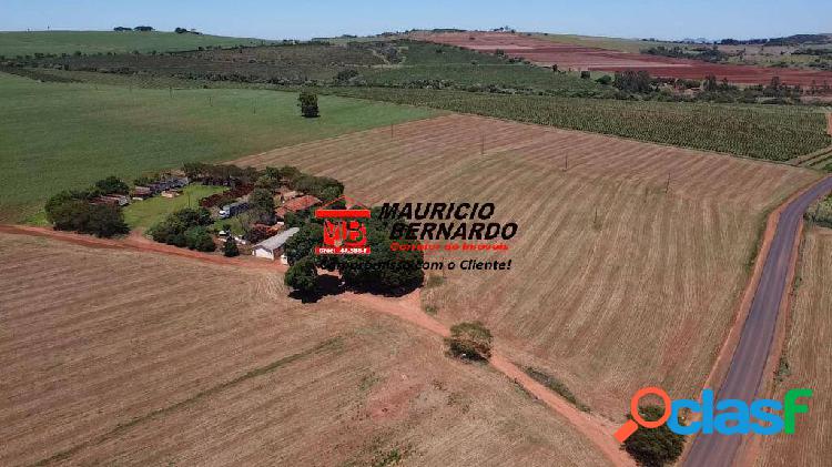 Fazenda Produtiva em Itaí, SP