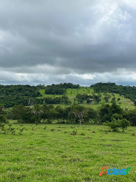 Chácara em São Luis de Montes Belos-GO ! 6 Alqueires !