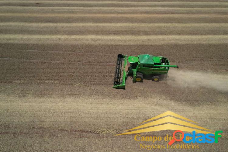 FAZENDA ARRENDAMENTO LAVOURA SÃO GABRIEL