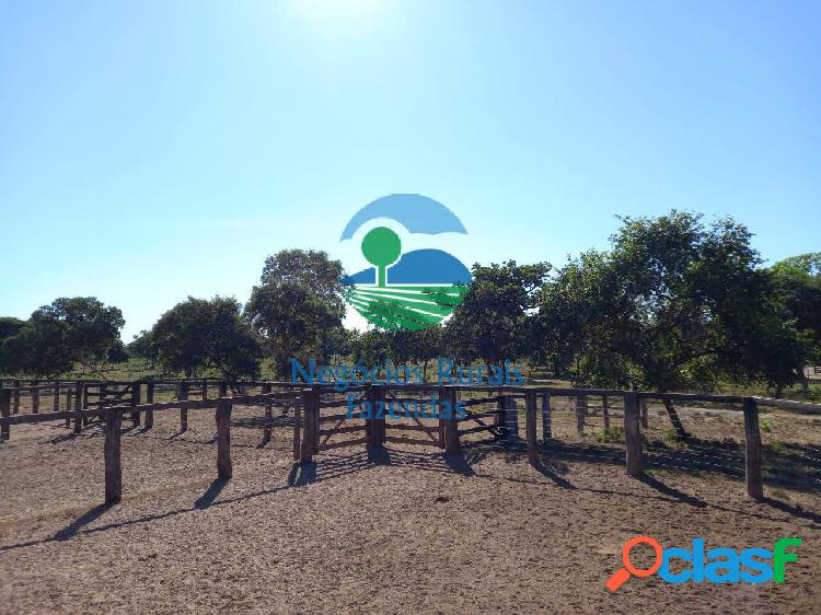 Fazenda 2.473 Hectares/ 511 Alqueires.