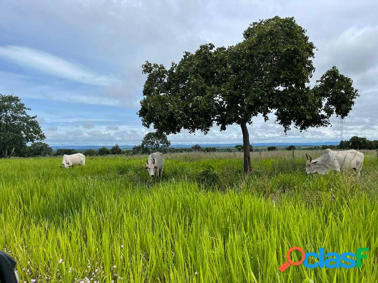 Fazenda a venda em Mato Grosso boa de Água com 1.000