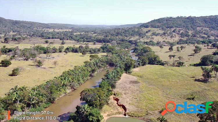 Fazenda de 32 alqueires na região de Ivolândia - Goiás !