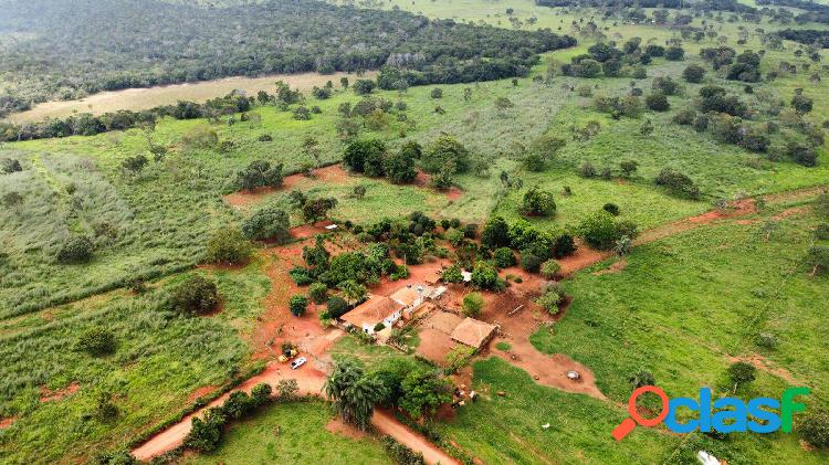 Fazenda de Oportunidade em Morada Nova-MG ! 80 Hectares !