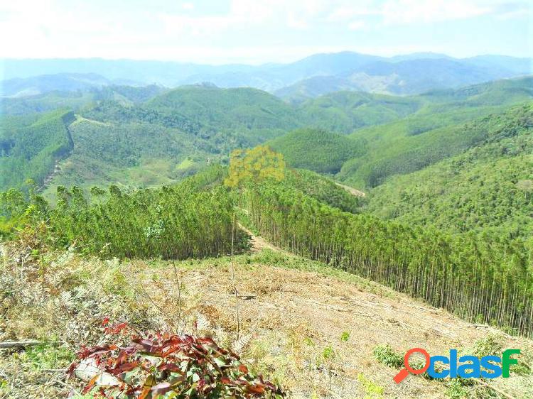 Fazenda de eucalipto de 7.7 alqueries em São Francisco