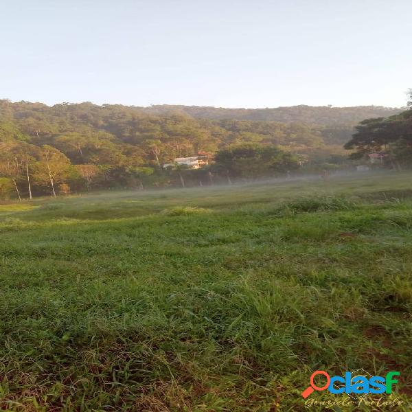 TERRENOS RURAIS COM PASTAGEM LOCALIZADO EM STO AMARO DA