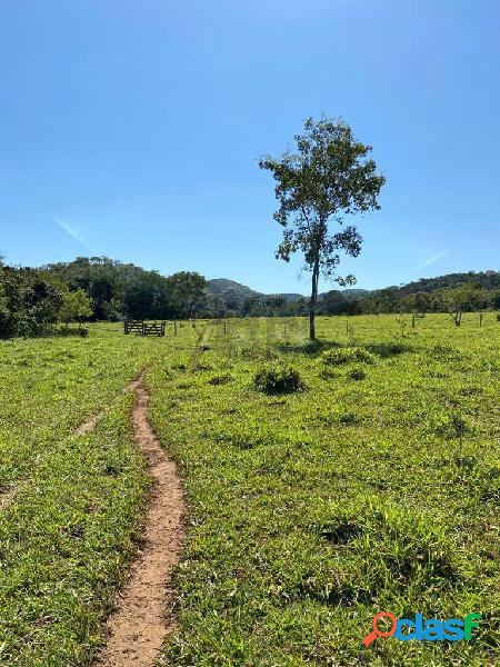 fazenda para vender em Paracatu/MG de 213 hec. (52 km da