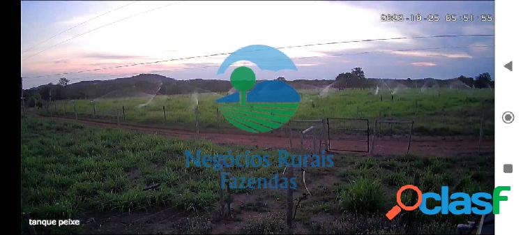 Fazenda 24 Hectares/ 5 Alqueires.