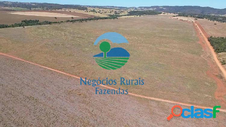 Fazenda 300 Hectares/ 62 Alqueires.